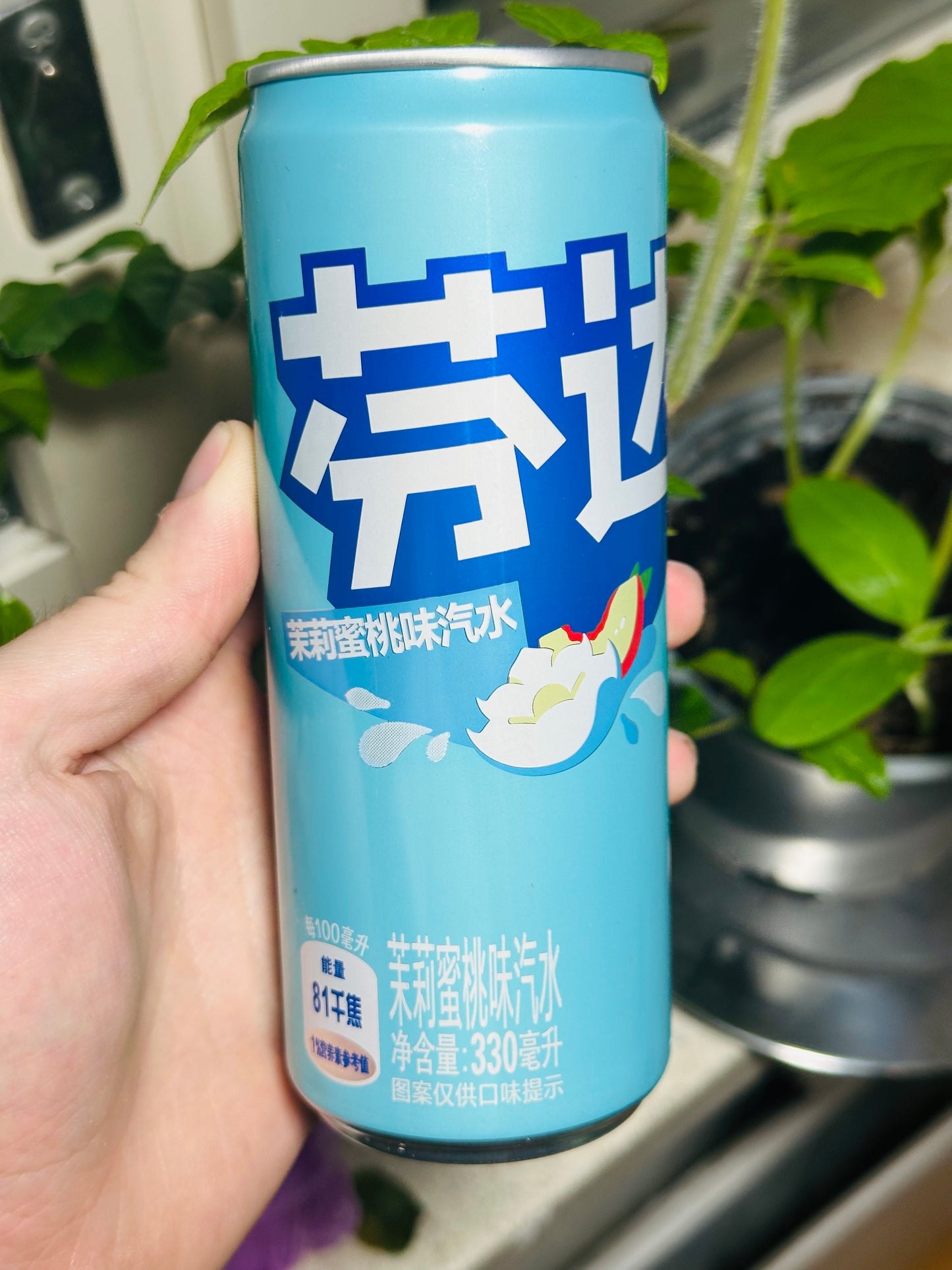 Fanta Jasmine Peach 300ml China