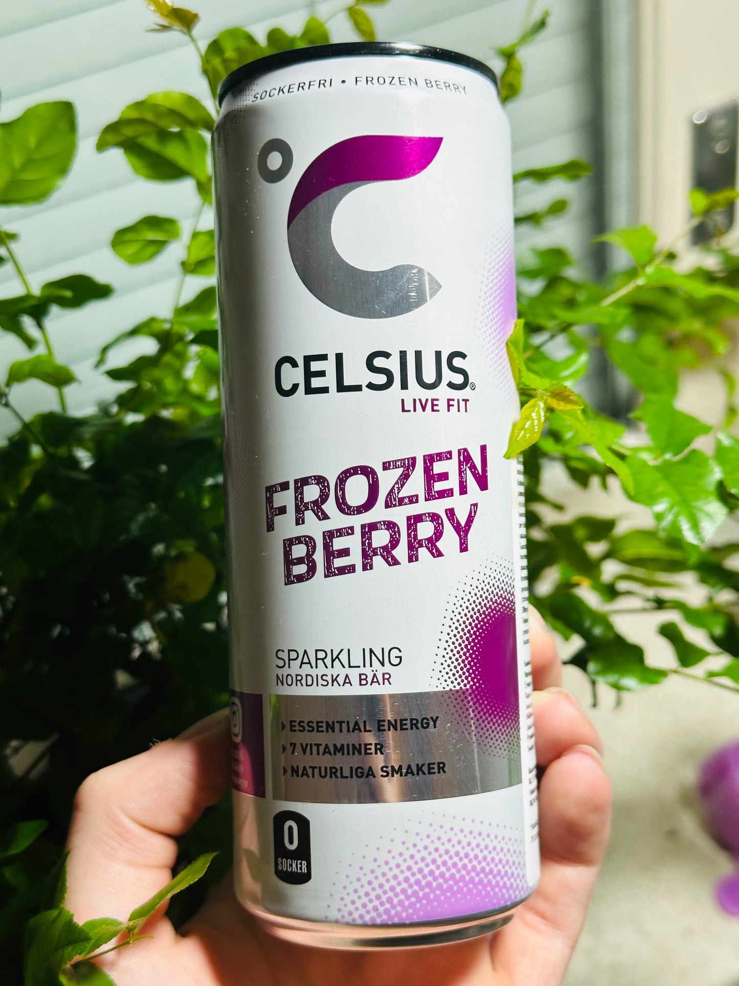 Celsius Frozen Berry 355ml