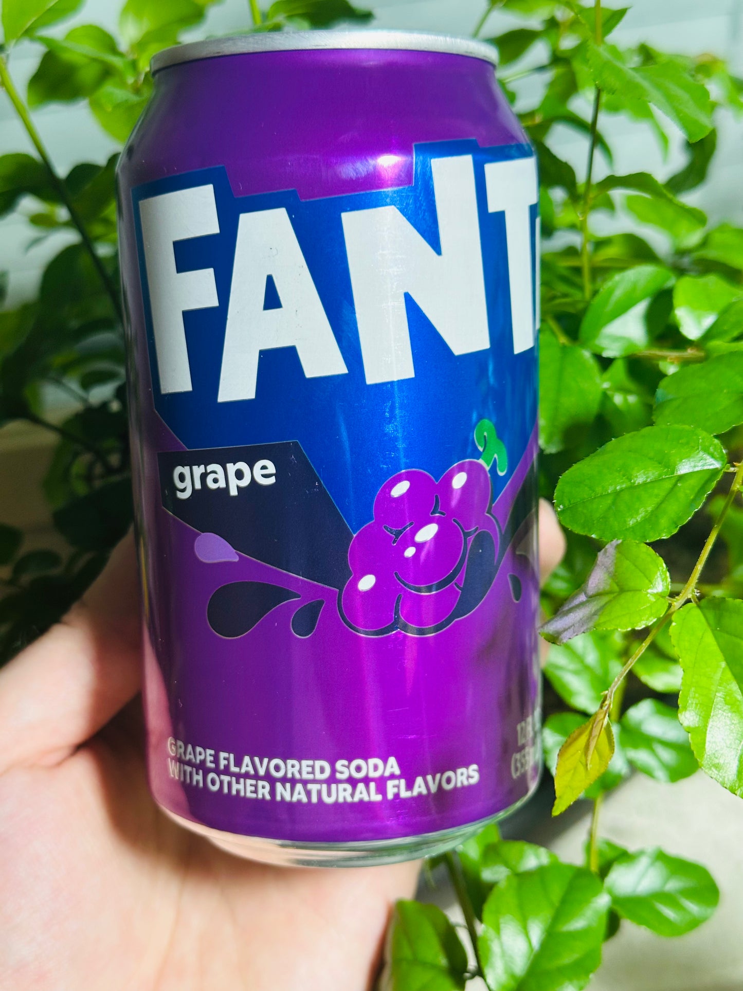 Fanta Grape 355ml