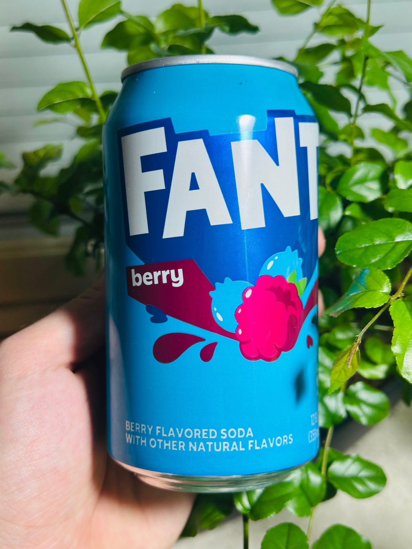 Fanta Berry 355ml