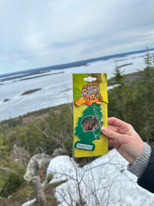 Ilmanraikastin / Royal Pine