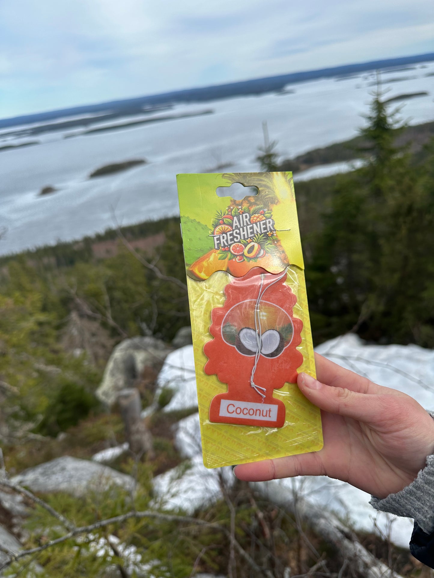 Ilmanraikastin / Coconut