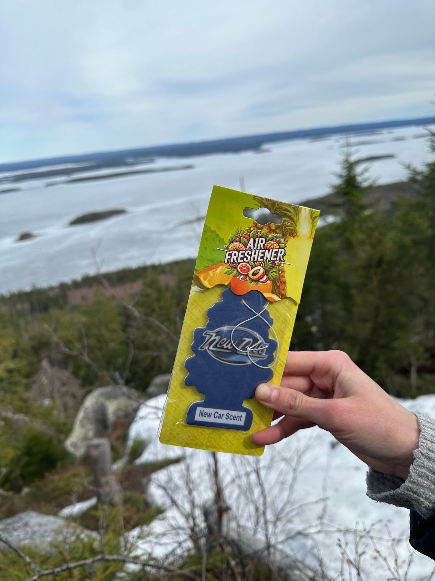 Ilmanraikastin / New Car Scent