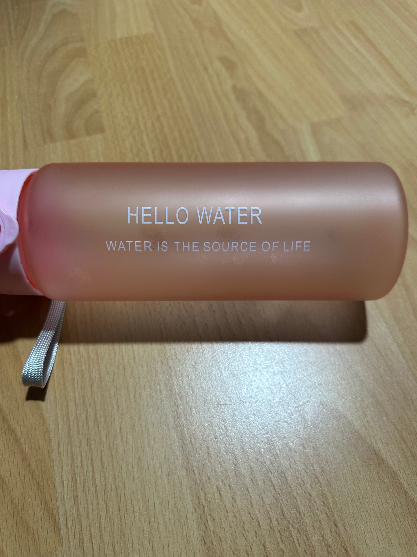 Juomapullo Sininen Ja Pinkki 780ml